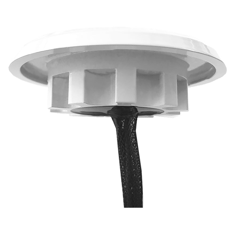 Shadow-Caster Downlight - White Housing - Bimini Blue [SCM-DLXS-BB-WH]